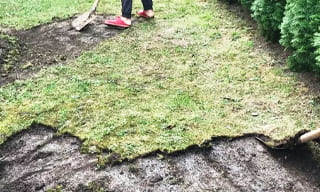 Снятие дерна старого газона в Нижнем Тагиле – от 519 руб. | 2Землекопа-Нжн